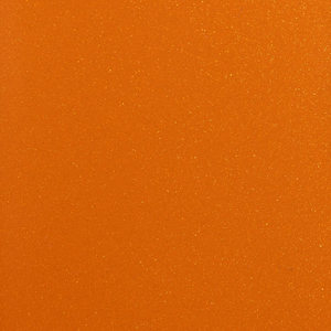 STEK FORCESHIELD SELECT FSC-S100