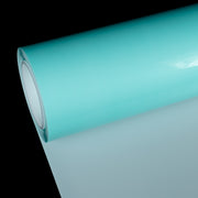STEK DYNO Shield PPF Gloss (SW)